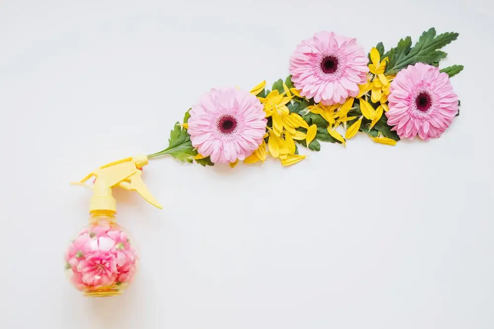 Lavender essence for calming air care fragrances