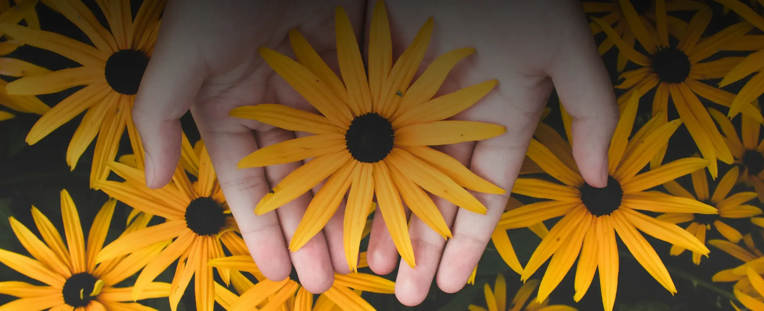 AFF Care page background