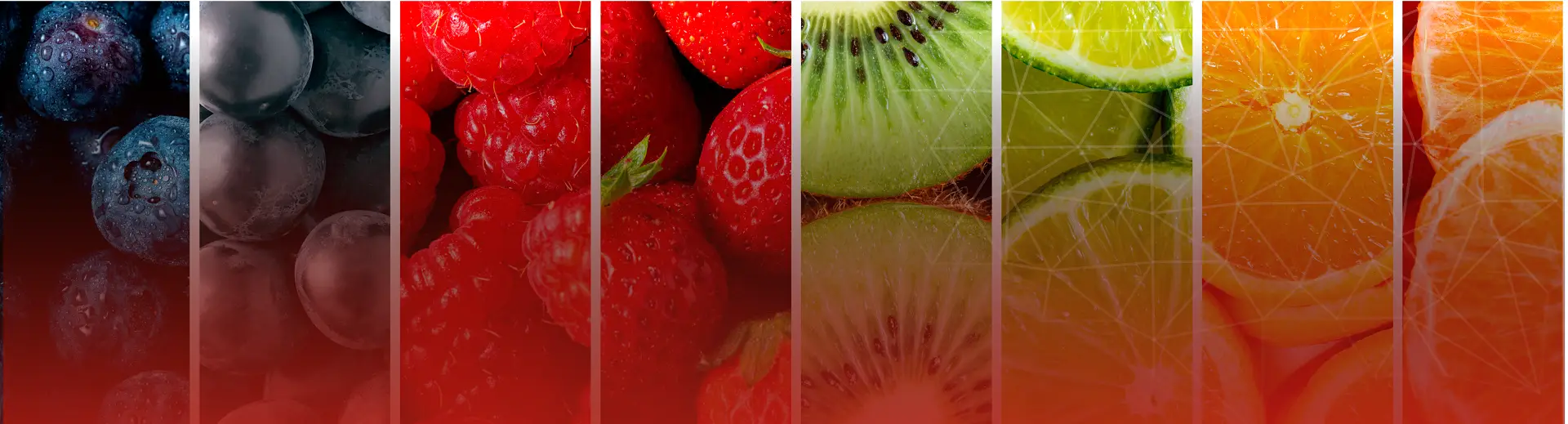 Fresh natural ingredients