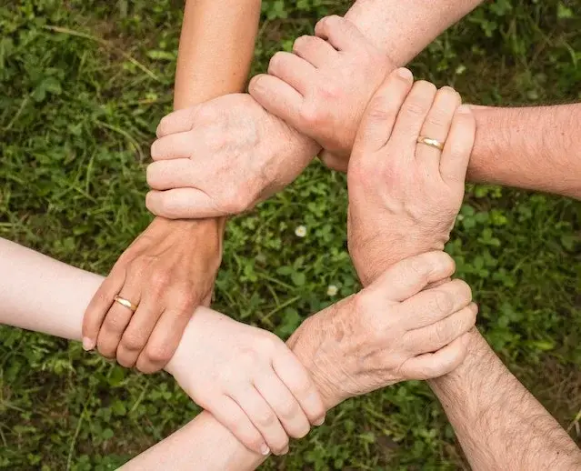 Home care ingredient compatibility and regulatory compliance