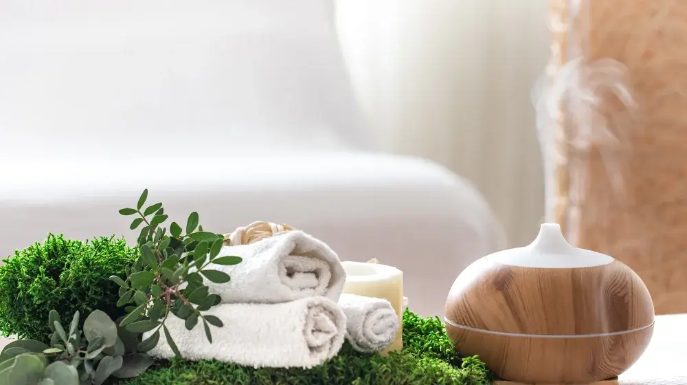 Fragrance stability and safety compliance testing