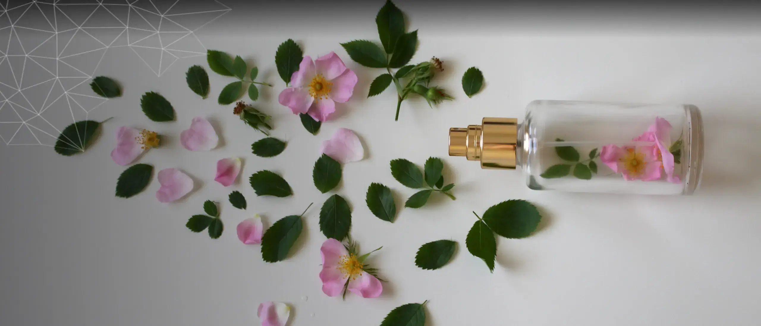 AFF scent solutions background
